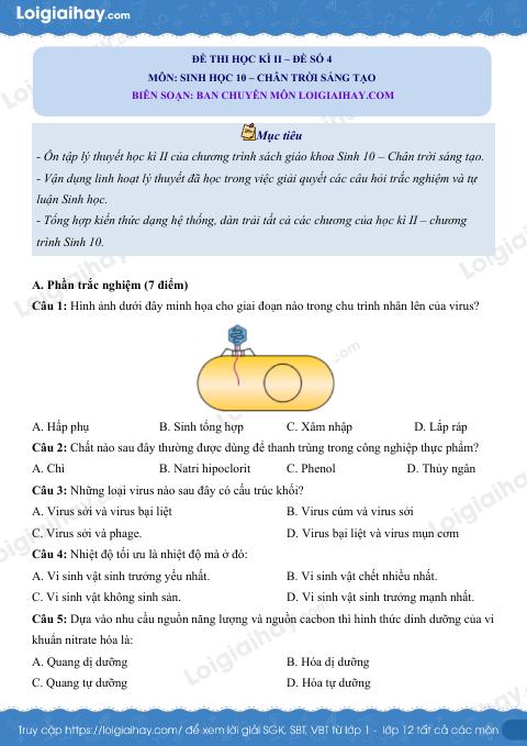 Đề thi học kì 2 Sinh 10 Chân trời sáng tạo - Đề số 4